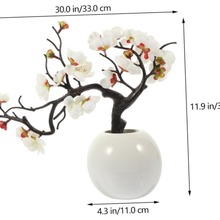 羳Ʒ÷Լü辰ٻֲﻨƿɫ÷