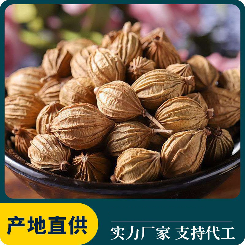 香砂四川香砂川砂仁火锅底料卤料香料大全增香调味香辛料产地批发