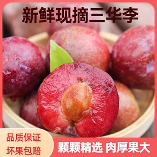 ���ڼt�����A��5�����r�Fժ�ش�ˮ���X����������ЋD������]