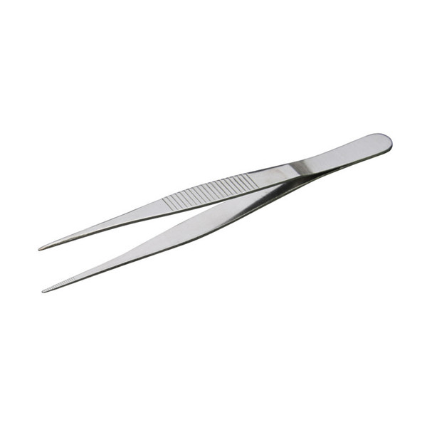 Anatomy Gardenia Stainless Steel Turtle Tools Straight Polying…