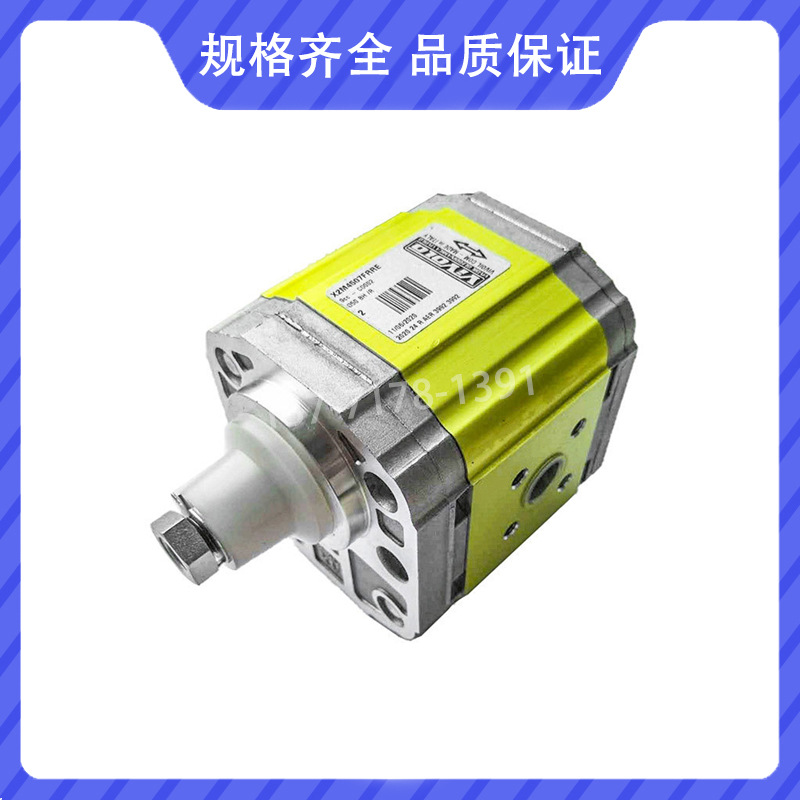 VIVOLO维沃尔意大利齿轮泵X2P4902ECBA/X2P4901ECBA液压泵VIVOIL