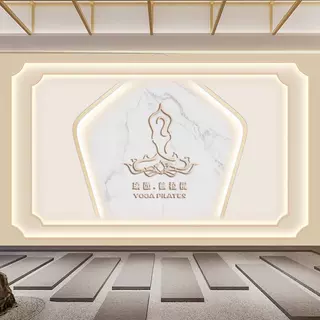 普拉提健身房背景墙布印度瑜伽舞蹈室装饰壁画直播间形态梳理壁布