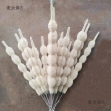 ����������ˢ����������ˢ�ӌ������ϴ��ëˢ3��4��5��6����̫��