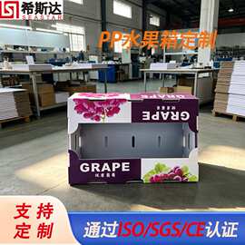 源头厂家 蔬菜水果箱PP中空板塑料包装箱瓦楞箱钙塑箱包装循环箱