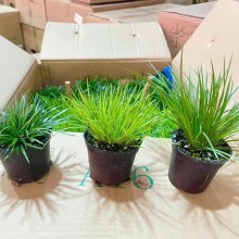 ����ֱ��΢���^���ѽ��X���P�˻���З����V���S��/̦�\������