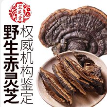 `֥ Ұ Ȼ Ұ`֥o֥֦`֥ `֥ Ұ Ұ]