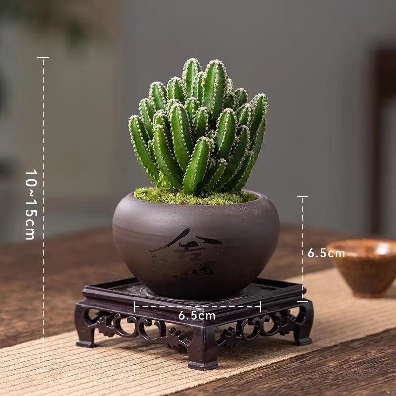 932ece01-9f8c-4dc7-bcf4-44362dba5a8b.jpe