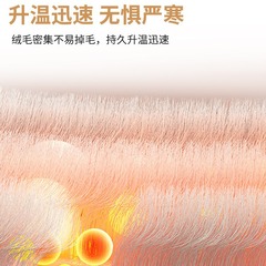 Thick Warm Winter Fleece Coral Fleece Four-Piece Set Double-Sided Fleece Autumn/Winter Bedding Milk Fleece Sheet Set