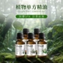 养生单方天然按摩精油