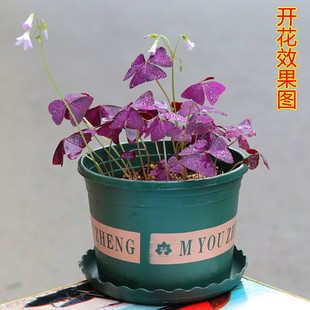 ���~���{�ݷN���Ϻ������\���ļ����������Ի�����ɫե�u�ݷ�ɫ��