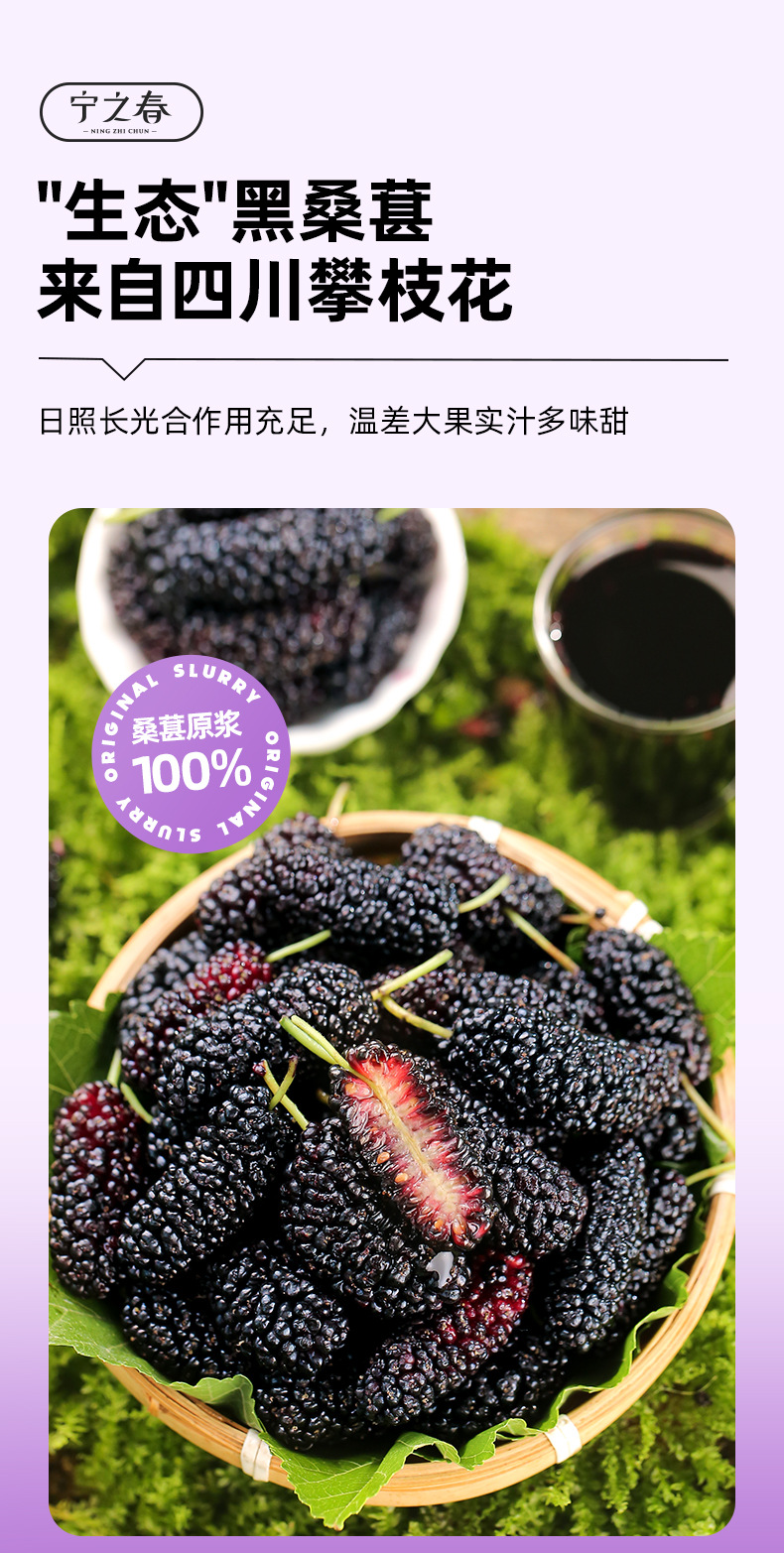 Mulberry Puree NFC Fresh Mulberry Juice 2.7L Gift Box Zero Additive Sang Shen Yuan Jiang quality and texture