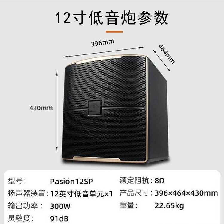 Venta al por mayor personalizado solo 10 pulgadas titular de la tarjeta profesional altavoz al aire libre karaoke transmisión en vivo hogar sala de estar familia KTV audio traje