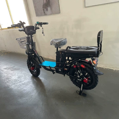 Elektrikli motosikletlər Motorcycle 48V Ebike Electric