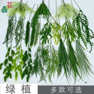 �Gֲϵ�� ɭϵ�Gֲ���� ��c�Ӽ��bپGֲ �Ƶ겼���������滨