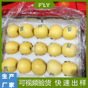 Manufacturer Customized Pearl Cotton Fruit Inner Tray Express Packaging Matching Carton Packaging Large Quantity Free Mold Fee