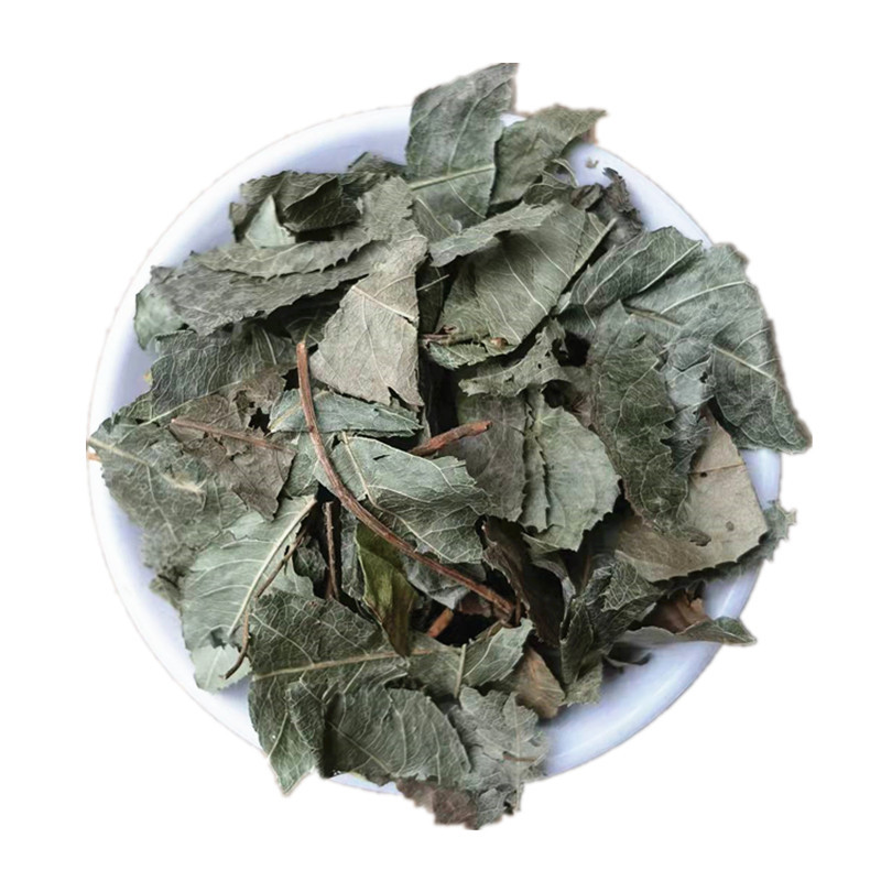 Dried Ai Di Tea Herb Ardisia Japonica Whole Herb Traditional TCM Decoction Herb Bulk Supply in use
