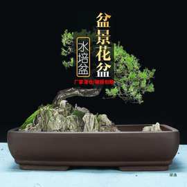 无孔水培紫砂花盆包浅盆绿植绿松榕树假山树桩陶瓷盆景盆