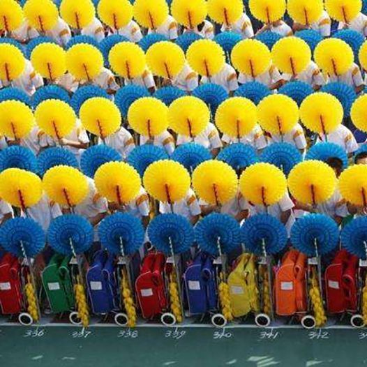 Color-Changing Hand-Flip Flower Multicolored Fan Entrance Sports Meeting Group Gymnastics Props School Opening Ceremony Large Square Formation