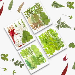 ����~�ɻ��������ϰ�Ѻ������b�ֲ��˱����z�Ʒ��ͯDIY�ֹ�