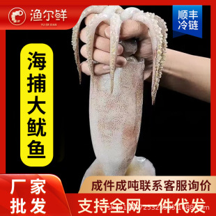 �������~���rҰ��������ֻ���~������rˮ�a�����˟���ʳ�����l