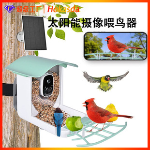 Cross Border Amazon Best Selling Smart Outdoor Waterproof Solar Charging Video Bird Identification Feeder Bird Feeder