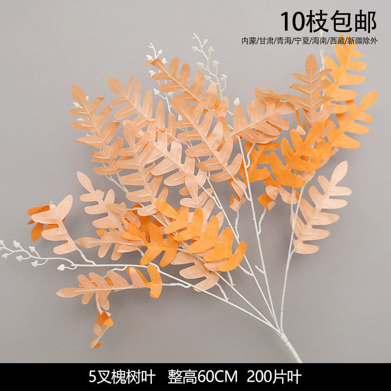 5叉槐树叶 5叉槐叶把束
