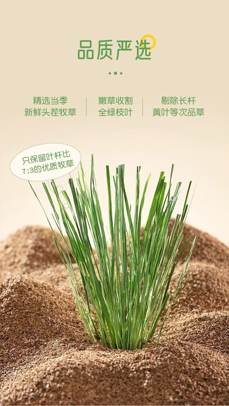 26381649-32a5-430a-8900-deac9461b680.jpe