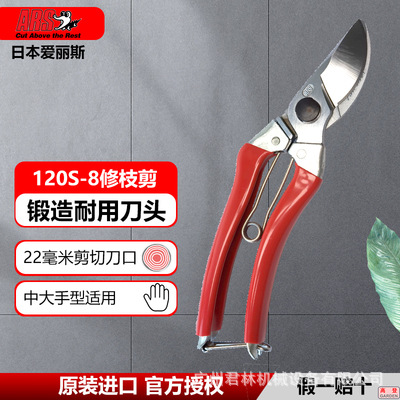 果树整枝剪 爱丽斯日本ARS 120S-8锻造剪 修枝剪 枣树剪 树枝剪