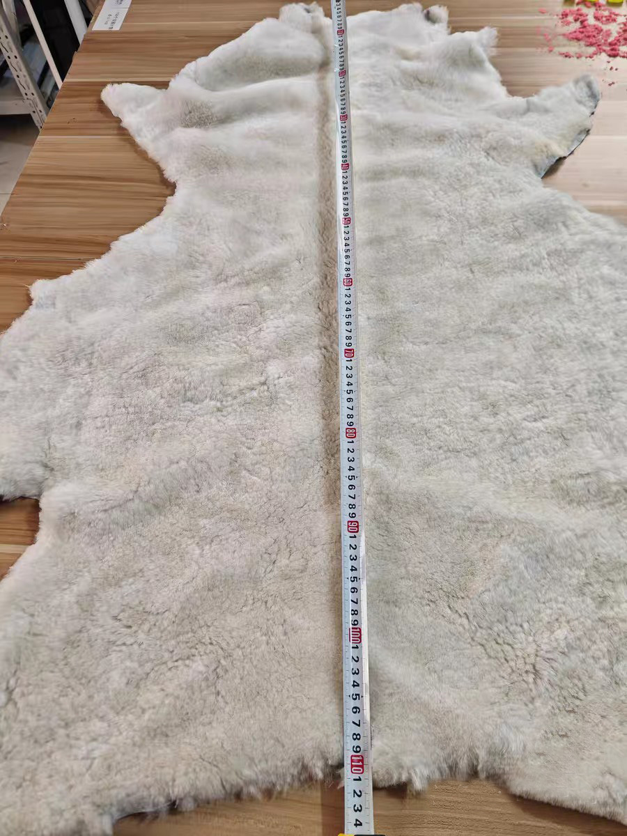 EE017EE6CBBA798391D9060BDE055F