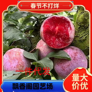 һ�����l���ڷ������Ә����F��Ó�����Ә��������Ϸ�������������