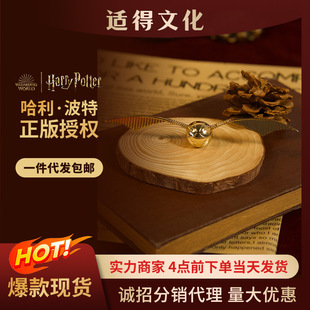 �����ڙ�������ؽ�ɫ�w�\�����N����������N���w���N�͹���߅