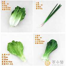 仿真蔬菜模型假辣椒土豆茄子黄瓜生菜白菜橱柜装饰品摄影早教道具