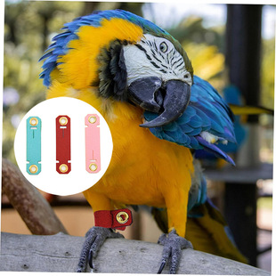 �W�^�_�h�B��Ƥ�ײ����_���Bϲ�o��������Ӗ�B�_���_�h