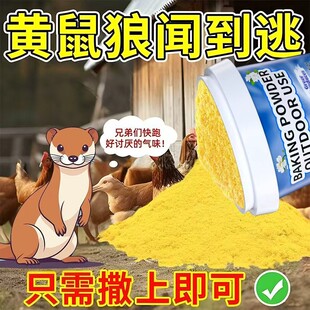 �羳�����S������s�������S���Ǐ�����ζ�o���S������s��