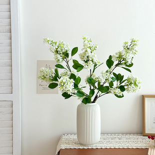 ��Ʒ�|���㻨���滨ǧ����������ٻ����Ҿӿ͏d�����[���zӰ����