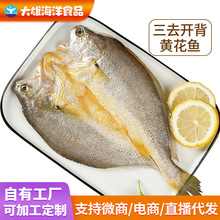 ���������S�~���خa�����_�����S�~������S���~ˮ�a�S���~����