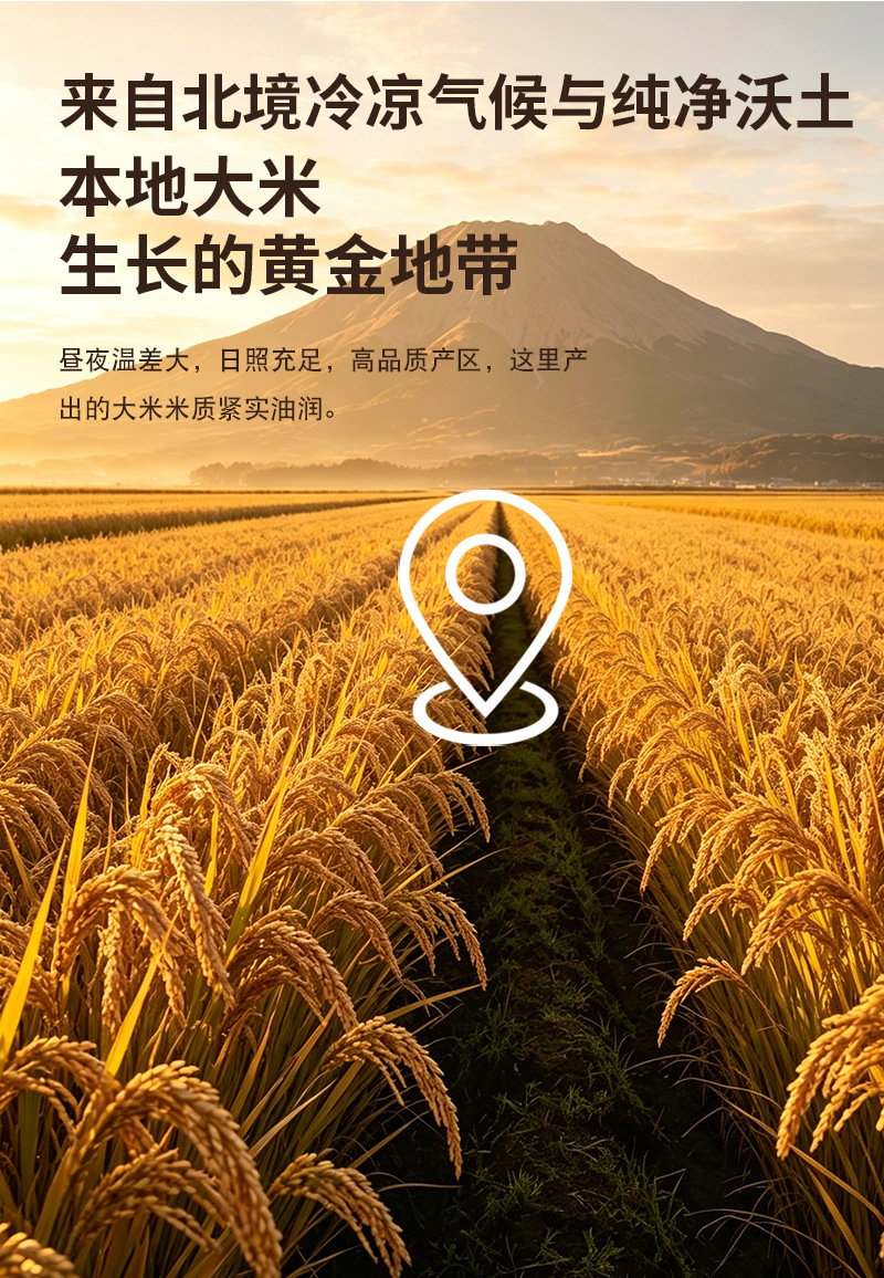 Cooked Local Rice Flour 500g Ready-to-Eat Milled Japonica Rice Powder for Drinks and Cooking preparation