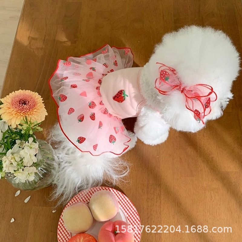 분홍색