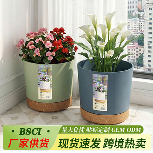 ���W���sС��������������G�}�����̨�¼��Gֲ�ظ��p�ݸ߼���