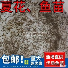 ˮ���~�����l�a�~�~���~���^�����������~���~����~�N���~