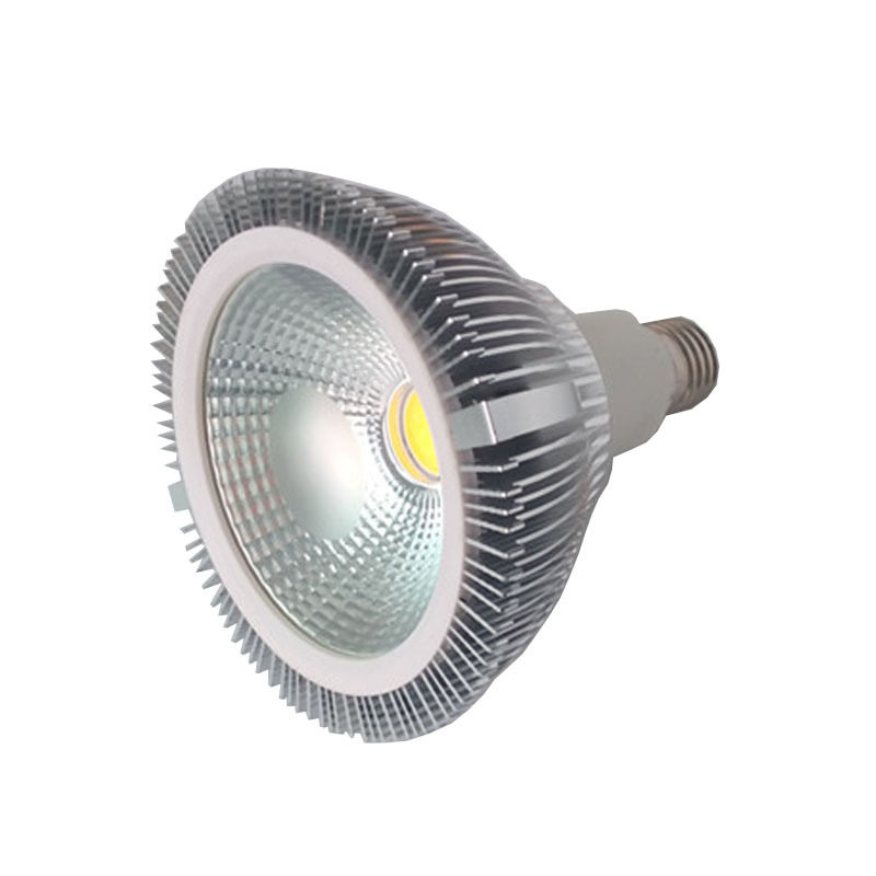 厂家直销 调光PAR38灯 15W E27 led帕灯 COB车铝PAR38 质保两年