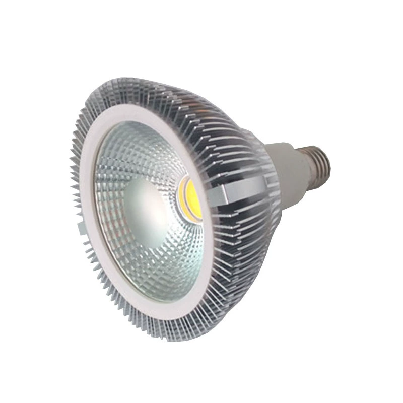 厂家直销 调光PAR38灯 15W E27 led帕灯 COB车铝PAR38 质保两年