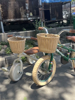 Electric car tail box: basket, imitation rattan vintage storage - wicker-colored-small-size-181412cm-default-item