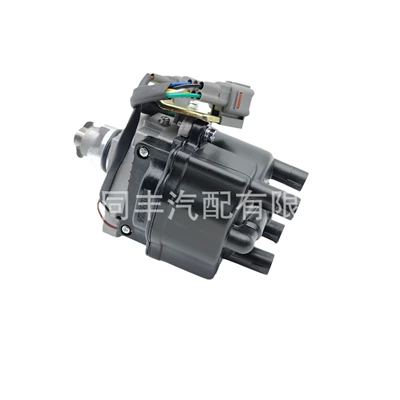 (2+4)*, Distributor