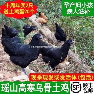 ���u���r�F���r��ɢ�B���u����uѩ������u���u���u�����u��ĸ�u