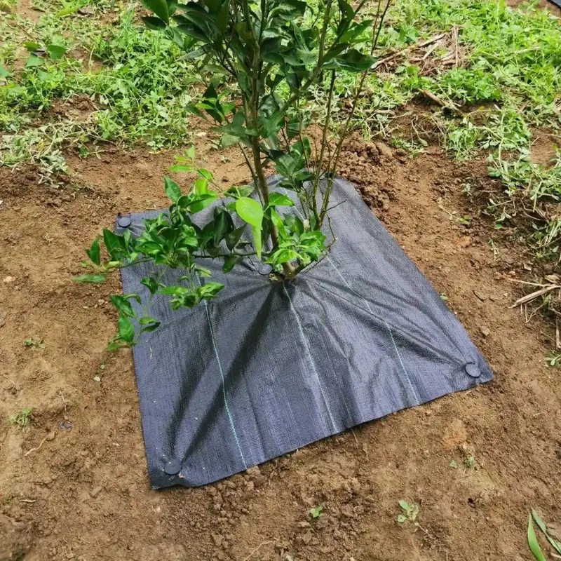 검정색 150*150 바닥못, 못캡 8개, 못캡 8개(오픈펀칭)