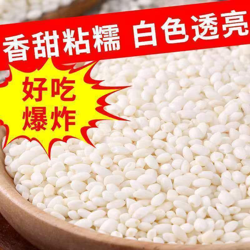 23 東北もち米 季節の新米 東北丸もち米 5kg 新鮮な高品質の香りの良い白もち米 もち米団子|undefined