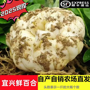 ���ͼy2025�������d�ٺ����r�ٺϰ��]���rʳ�����خa΢�����l