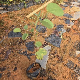 2510�m�����G �m������ף������� ���l