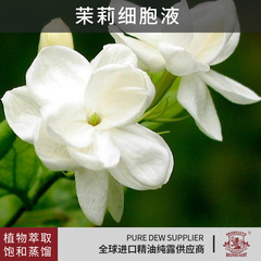 現物ジャスミン細胞液低温凝縮生花原液天然植物保湿補水ジャスミン純露原料